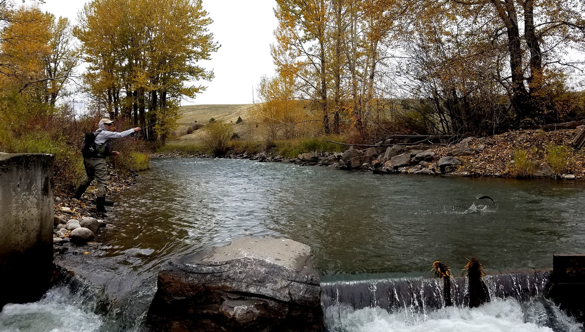 Montana on the Fly, Patrick Straub