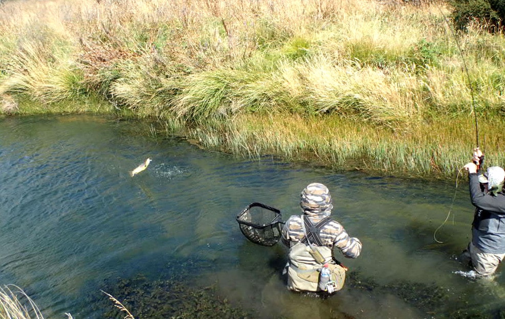 Bozeman Fly Fishing  Pat Straub, Bozeman Fishing Outfitters