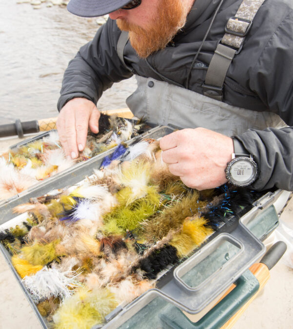 Spring Fly Fishing Flies for Bozeman, Montana